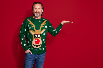 Photo of smiling confident mature man wear green ornament jumper hold palm showing new christmas brand sale season isolated on red color background