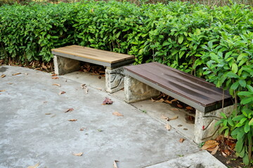 Old brown wood bench on cement floor and embrace behind by tree.