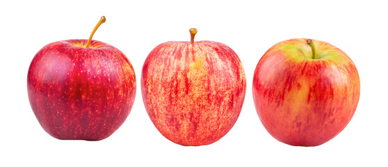 Fresh red apple isolated on transparent png