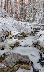 Winter landscape with snow-covered trees, a river in the forest