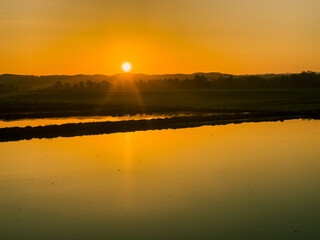 Obraz premium Paddy fields in spring with the setting sun