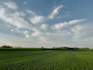 Stretching clouds and spring meadow