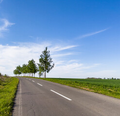 A road up a tree-lined hill