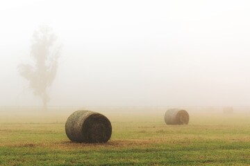 Hay bales in a foggy field in country NSW Australia