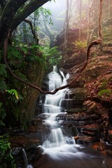 Nature's playground are the best Blue Mountains Australia