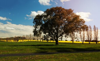 Fototapeta na wymiar Rural countryside farming fields of Australia in spring