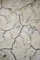Dried cracked mud