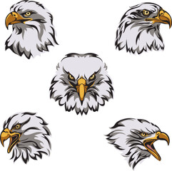 eagle, logo, soaring eagle, bird, portrait, vector, image, isolated, sign for companies, sports team