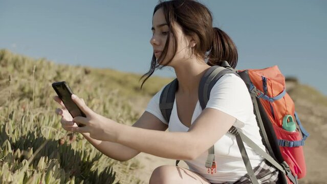 Side view of teenaged girl taking picture of exotic plant on hiking trip. Young Caucasian brunette with backpack touching phone screen while making photo on warm day. Modern technology, nature concept