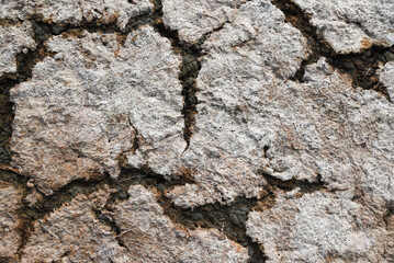 Dry and cracked ground, dry for lack of rain. Effects of climate change such as desertification and droughts.