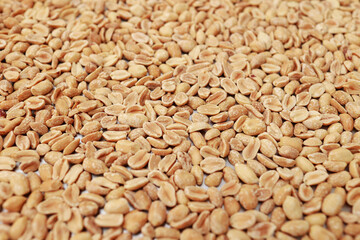 close up of peeled roasted peanuts, healthy nuts, protein food. Isolated background of roasted peanuts. Vegan food and protein nutrition.