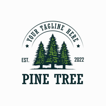 Vintage pine logo icon vector design, Evergreen logo design inspiration