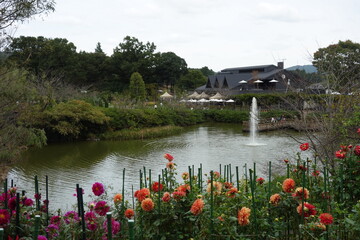 花と噴水