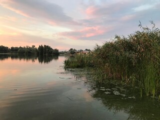Mesmerizing shot of pinkish sunset at a lake surrounded by trees and reeds