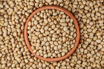 Himalayan Navy Beans (Pearl haricot beans, White Rajma). Haricot Beans in Pottery