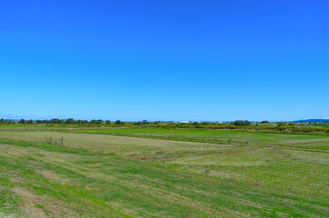 普段の広い草原風景