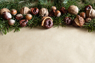 A handful of nuts and spruce branches lie on craft paper, space for text