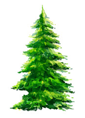 Obraz premium green christmas tree