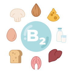 Foods rich in vitamin B2. Poster vitamin B2 in the center with food icons around it: almonds, cheese, milk, liver, etc. Vector illustration