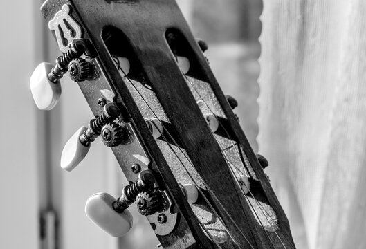 acoustic guitar pegs detail