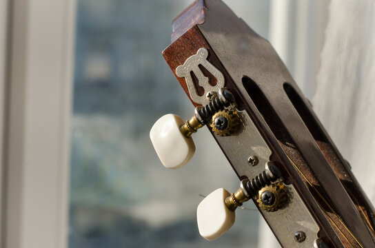 acoustic guitar pegs detail