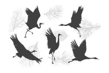 Japanese crane bird vector silhouette illustartions set.