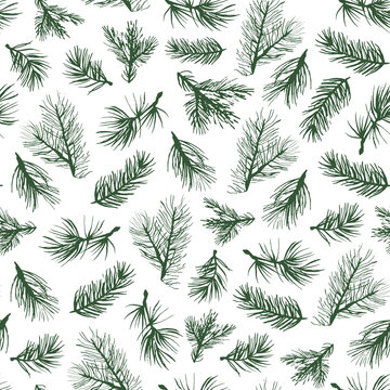 Fir tree branch vector seamless pattern.