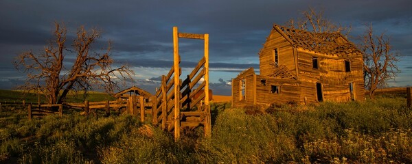 Naklejka premium Abandoned homestead in the countryside of Oregon, USA during sunset