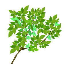 A tree branch with lush green foliage