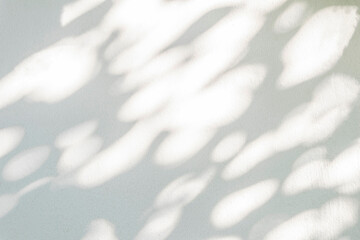 Tree shadow and leaf branch with light bokeh background. Nature leaves tropical jungle light and dark shadow for background wallpaper, overlay effect and design