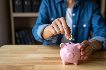 Obraz na płótnie Canvas woman holds a coin in a pig-shaped piggy bank to save money for the future. after retirement and record keeping of income, expenditure, savings and financial concepts.