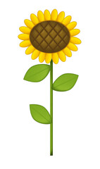 Cartoon scene with plant flower sunflower isolated illustration for children