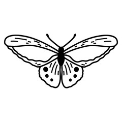 Hand drawn doodle butterfly. Vector sketch illustration, black outline art of insect for web design, icon, print, coloring page