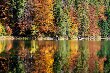 Beautiful colourful trees reflecting in calm water surface on a sunny autumn day. Vibrant landscape scene. Nature background