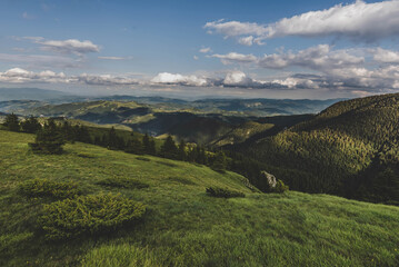 Fototapeta na wymiar Panoramic View of Summer Kopaonik Mountains