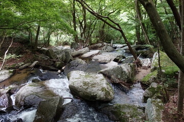 Obraz premium 滝川渓谷