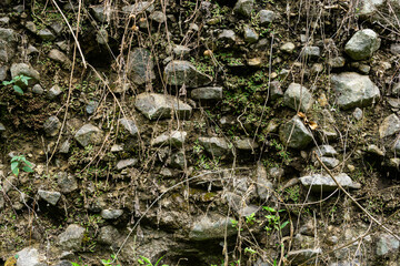 Earth and stone walls with grass and moss growing in the slit. Rocky cliff surface with weeds and moss.
