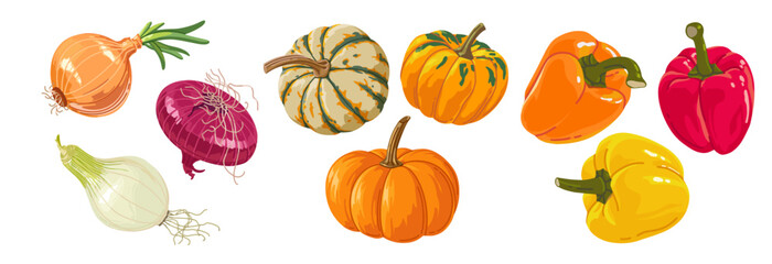 Colorful set of autumn vegetables in cartoon style for print and design. Vector illustration.