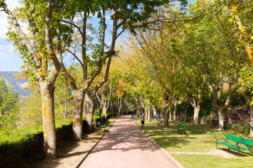 Laguardia Spain trees on path on walk around the hilltop village in Rioja region