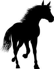 Horse Silhouette Animal