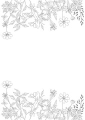 Wildflowers in a frame. Vector design templates in a simple modern style with a place to copy text, flowers and leaves - backgrounds and frames for wedding invitations, wallpapers for social networks.