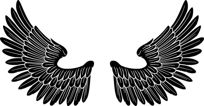 Pair of Angel or Eagle Bird Wings
