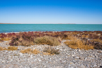 Lake Alakol autumn landscape. Kazakhstan