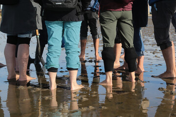 Wattenmeer, Nordsee, Sylt, Deutschland im Herbst