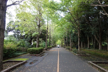 Fototapeta premium 笠松運動公園