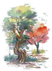 Obraz na płótnie Canvas big tree in the park watercolors for card decoration illustration