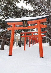 Sapporo, Hokkaido, Japan, Winter - obrazy, fototapety, plakaty