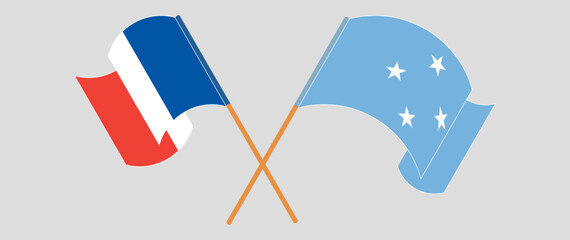 Fototapeta na wymiar Crossed and waving flags of France and Micronesia