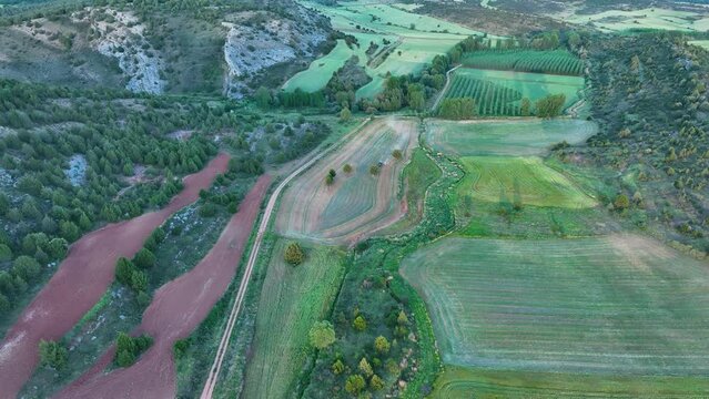 Tractor working in the agricultural landscape of Hortigüela. Aerial view from a drone. Arlanza Valley. Burgos, Castilla y Leon, Spain, Europe