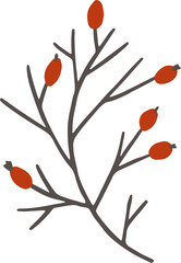 Christmas flower botanical clipart illustration in flat cartoon style. Merry Christmas and Happy New year floral evergreen element, isolated